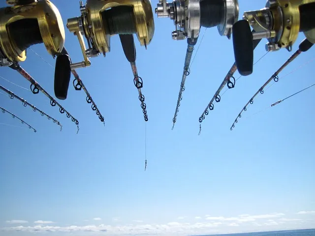 Angler beim Angeln – Symbolbild zur Mission von Hochseeangeln Antares
